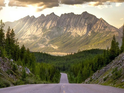 Magazin die neo42 Patchstrategie